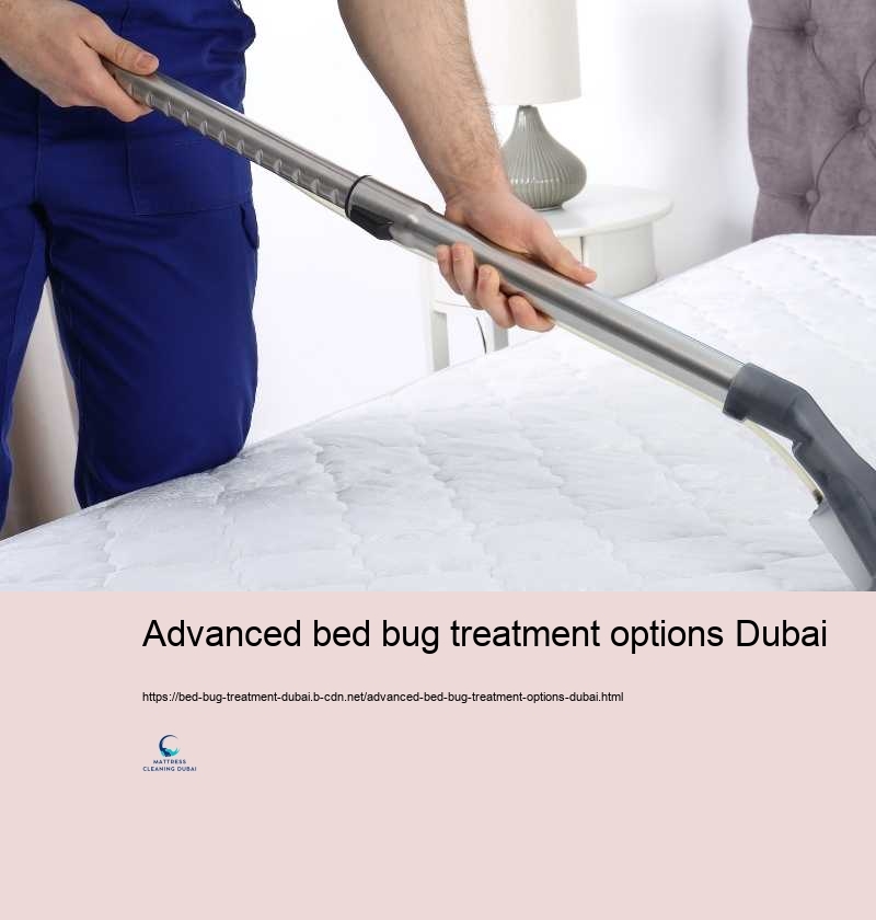 Advanced bed bug treatment options Dubai