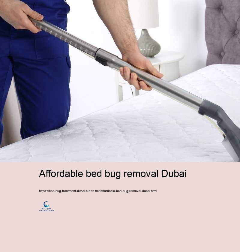 Affordable bed bug removal Dubai