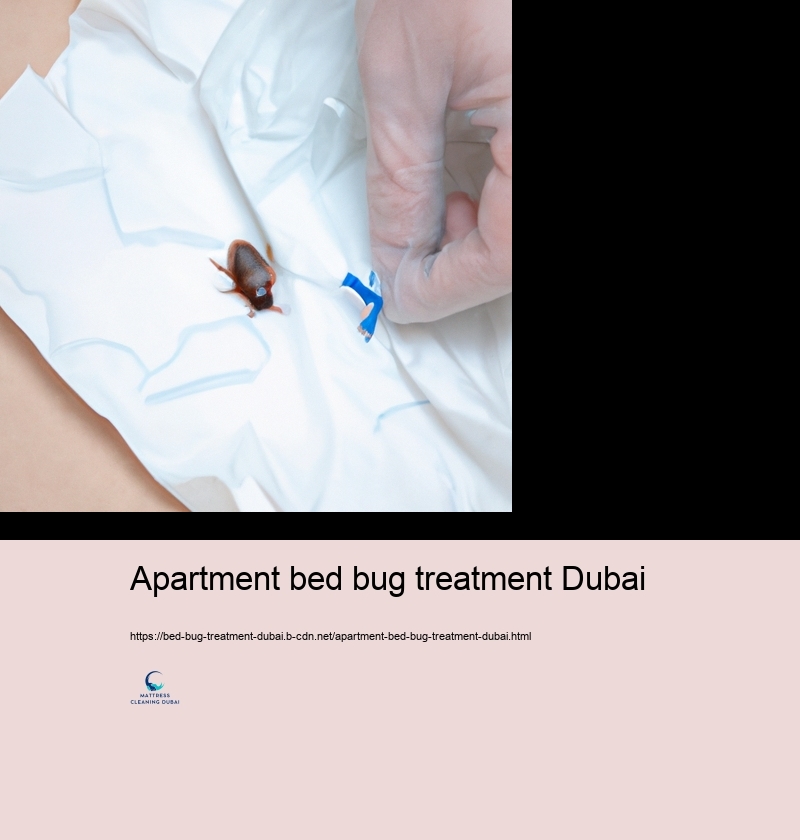 Safeguard to Protect against Bed Insect Concerns