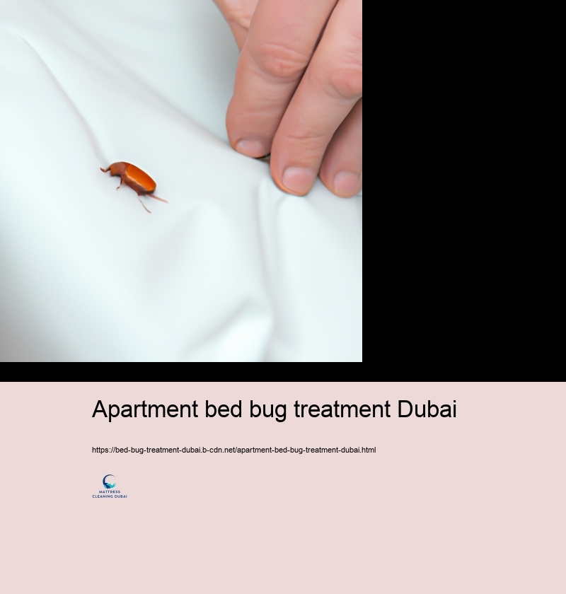 The Function of Specialist Bloodsucker Control Services in Bed Insect Monitoring