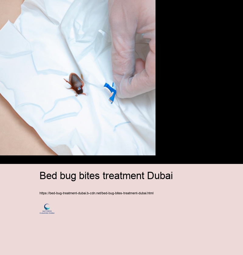 The Obligation of Professional Pest Control Provider in Bed Pest Administration