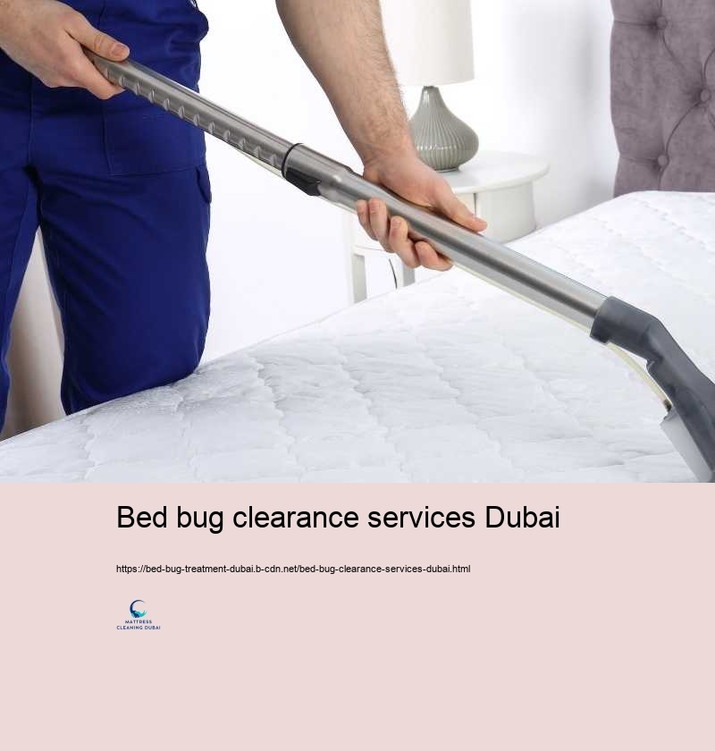 Bed bug clearance services Dubai