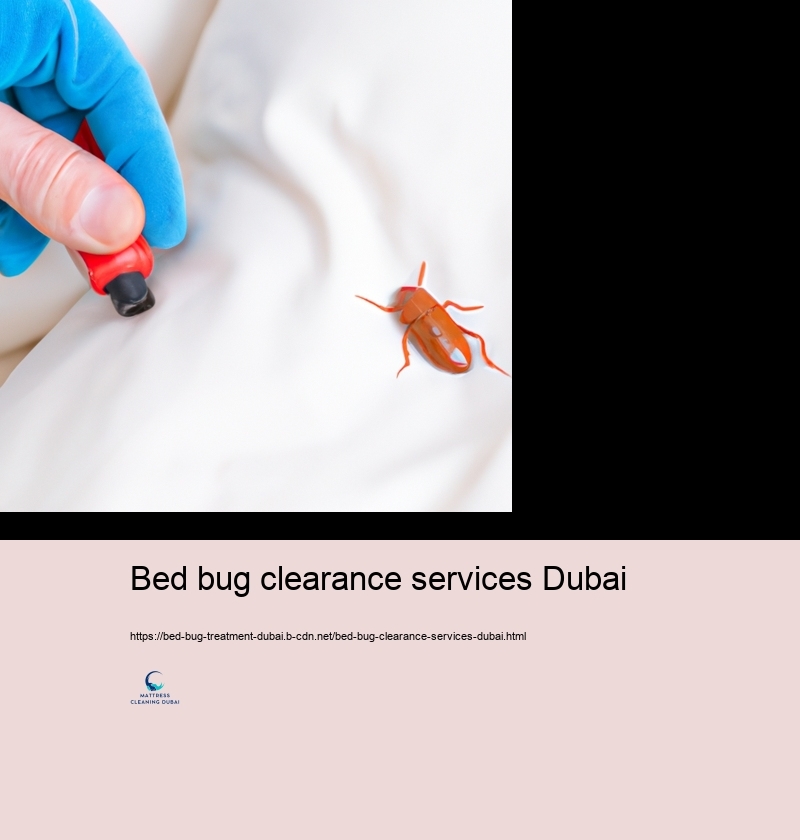 Professional Bed Insect Treatment Selections in Dubai