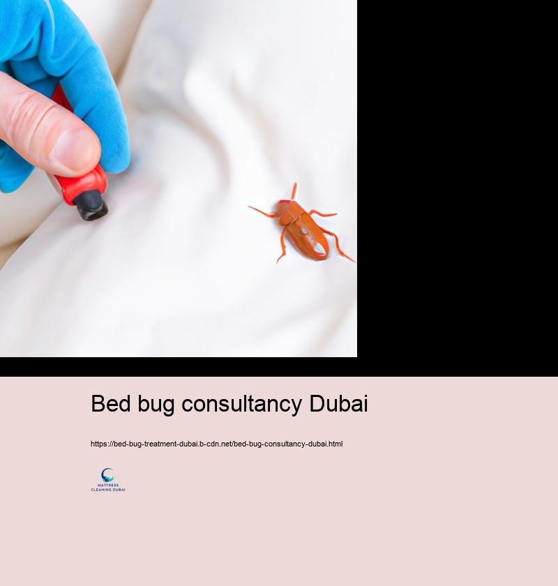 DO IT YOURSELF Bed Insect Control: Effective Methods and Risks