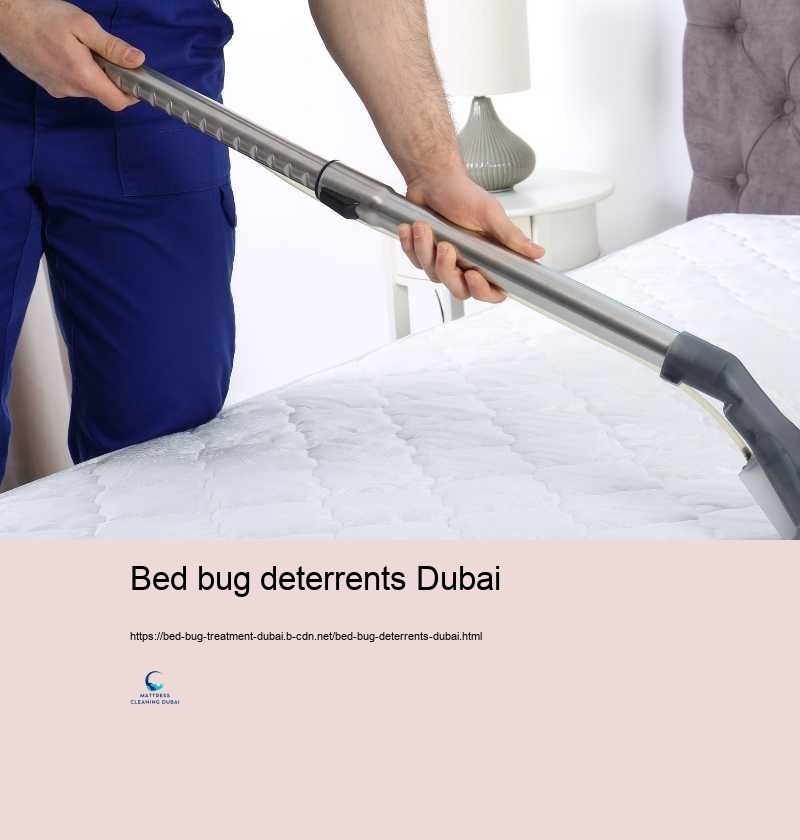 Bed bug deterrents Dubai