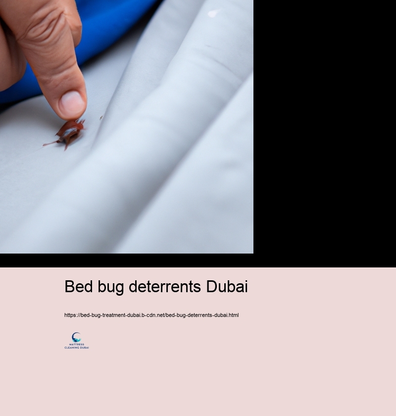 DO IT YOURSELF Bed Bug Control: Reliable Approaches and Hazards