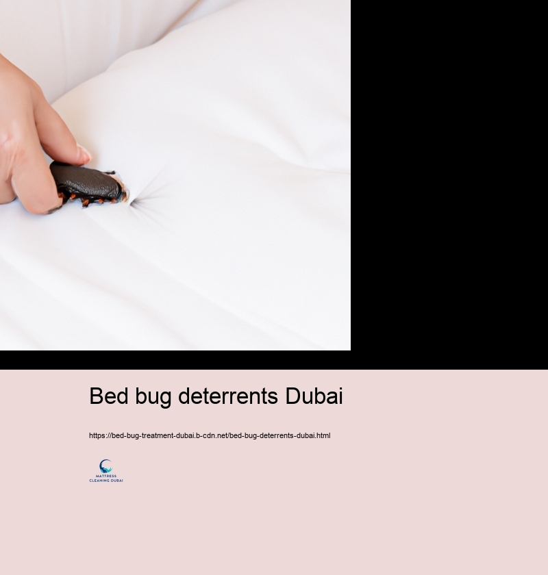 The Duty of Specialist Pest Control Solutions in Bed Insect Checking