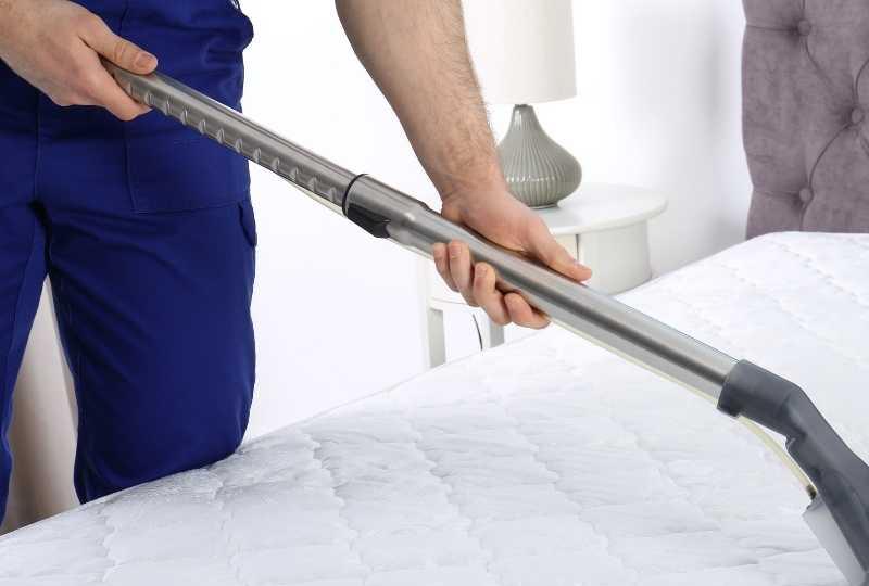 Bed bug eradication methods Dubai