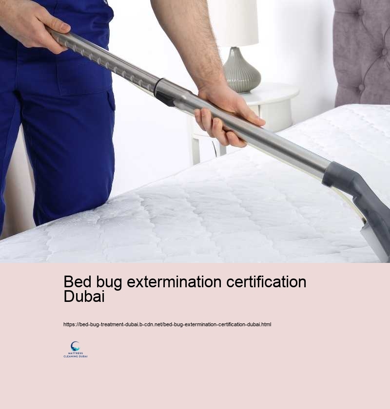 Bed bug extermination certification Dubai