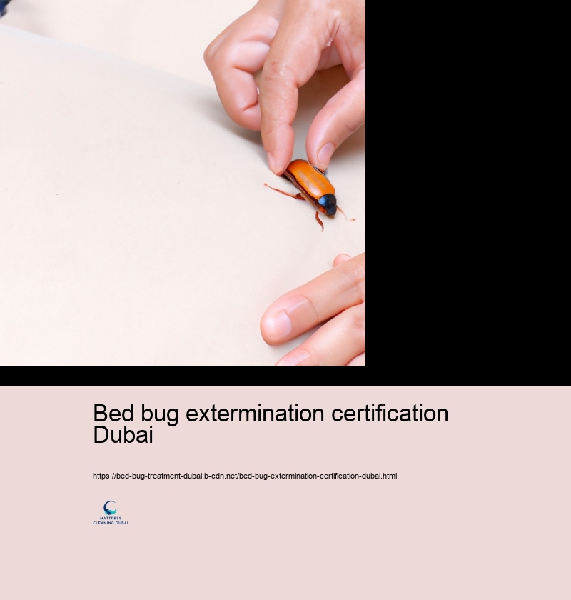 The Duty of Specialist Bug Control Provider in Bed Insect Management