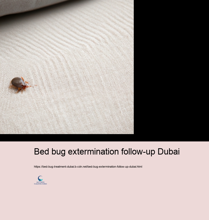 The Feature of Expert Parasite Control Solutions in Bed Pest Monitoring