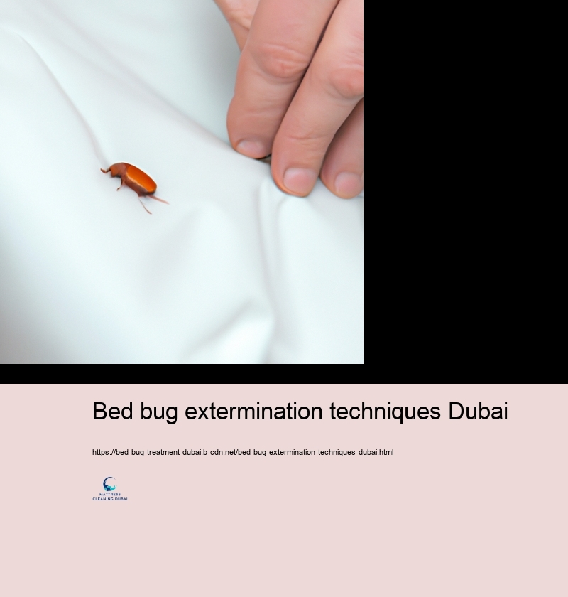 Professional Bed Insect Therapy Alternatives in Dubai