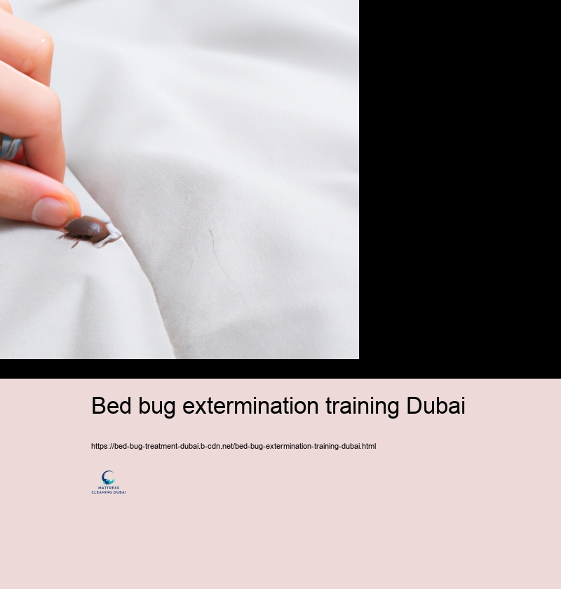 Preventive Measures to Remain Devoid of Bed Bug Issues