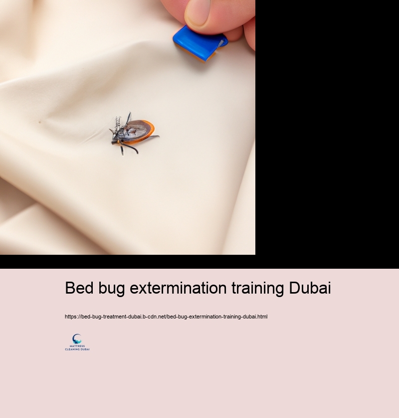 The Feature of Professional Bloodsucker Control Solutions in Bed Insect Checking