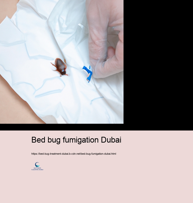 Do It Yourself Bed Bug Control: Reliable Techniques and Threats