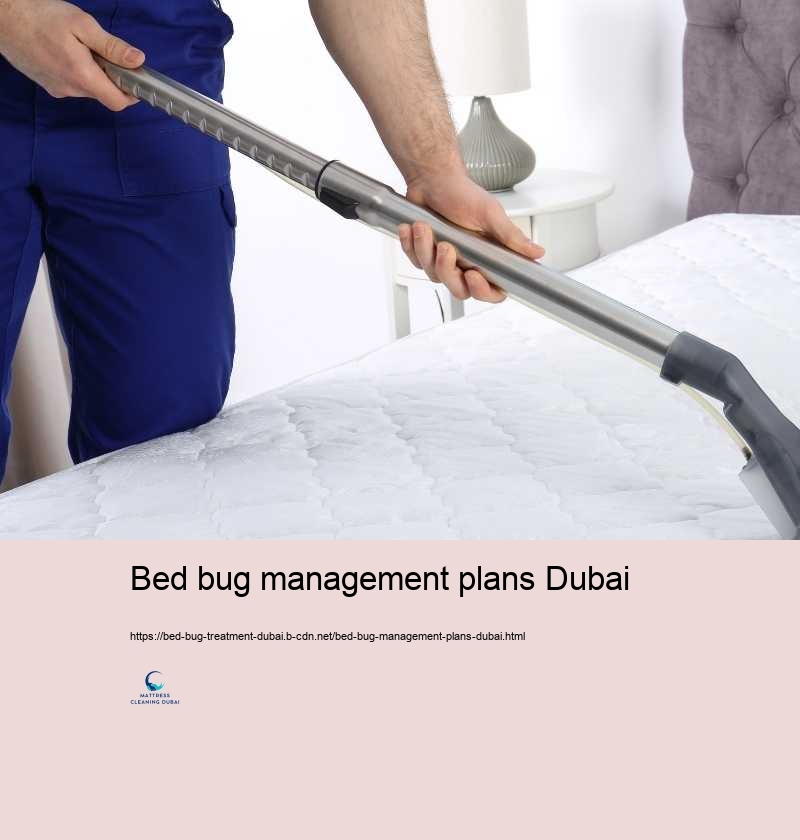 Bed bug management plans Dubai