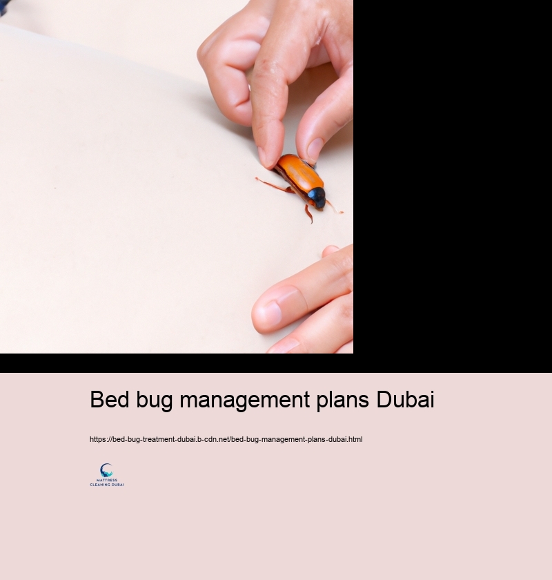 DO IT YOURSELF Bed Insect Control: Trustworthy Strategies and Threats