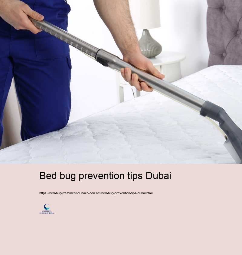 Bed bug prevention tips Dubai