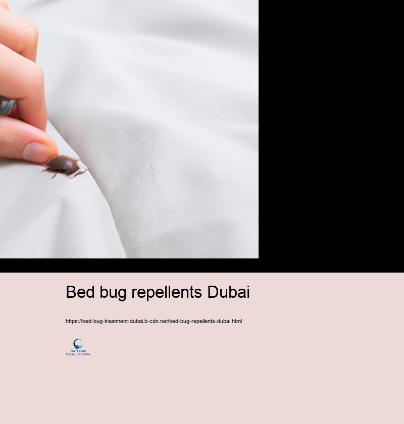 Do It Yourself Bed Insect Control: Reliable Strategies and Threats