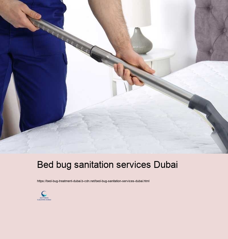 Bed bug sanitation services Dubai