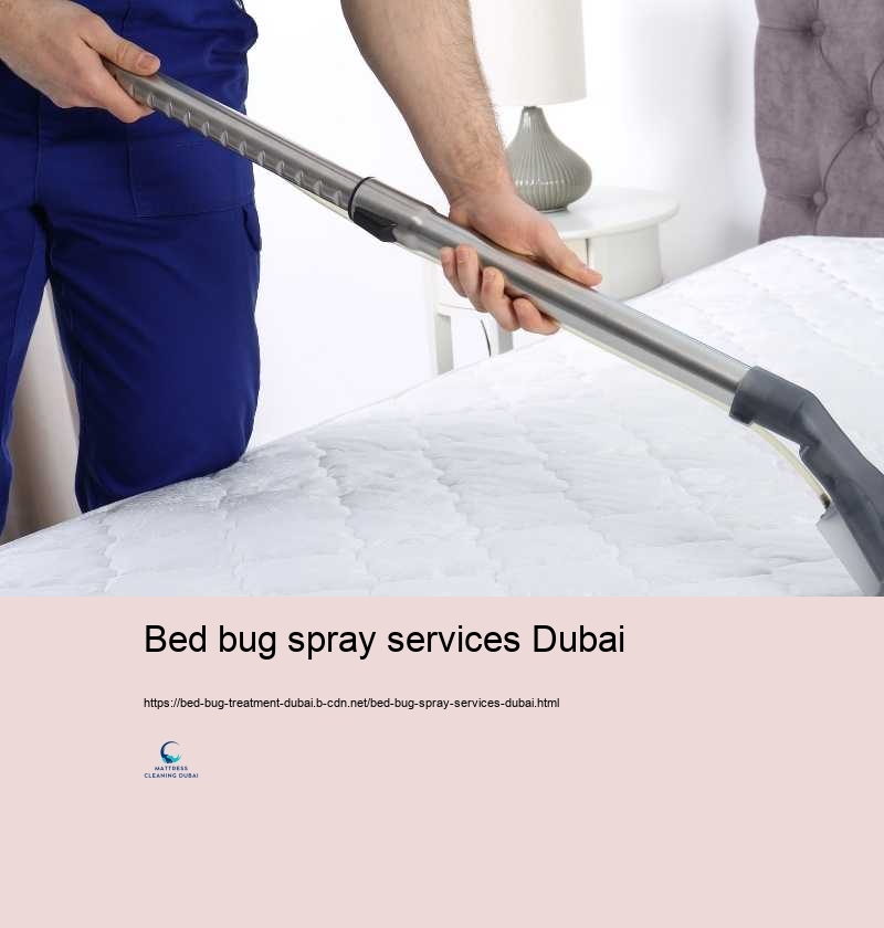 Bed bug spray services Dubai