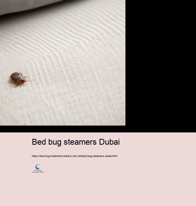 Specialist Bed Insect Treatment Alternatives in Dubai