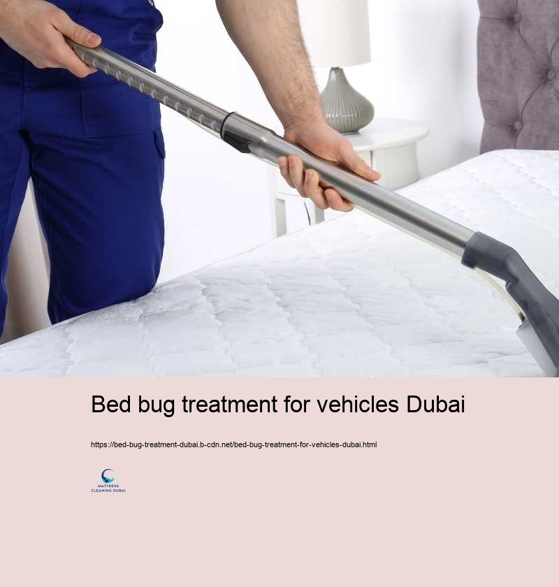 Bed bug treatment for vehicles Dubai