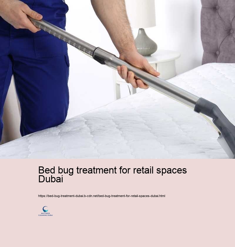 Bed bug treatment for retail spaces Dubai