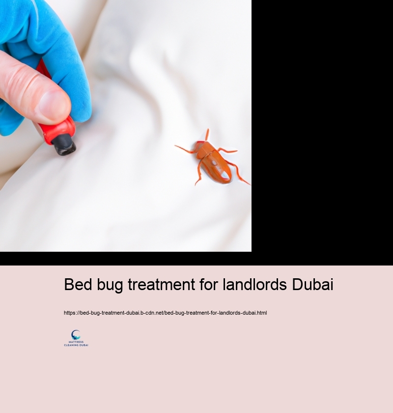 The Responsibility of Expert Bug Control Solutions in Bed Insect Management