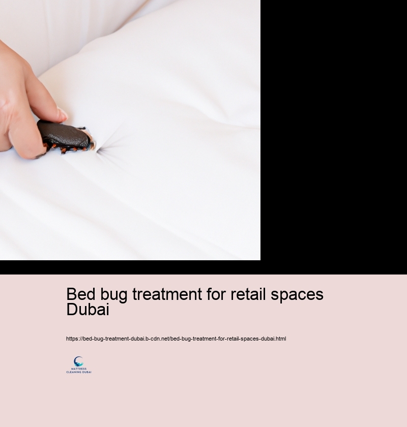 Do It Yourself Bed Pest Control: Reliable Methods and Dangers