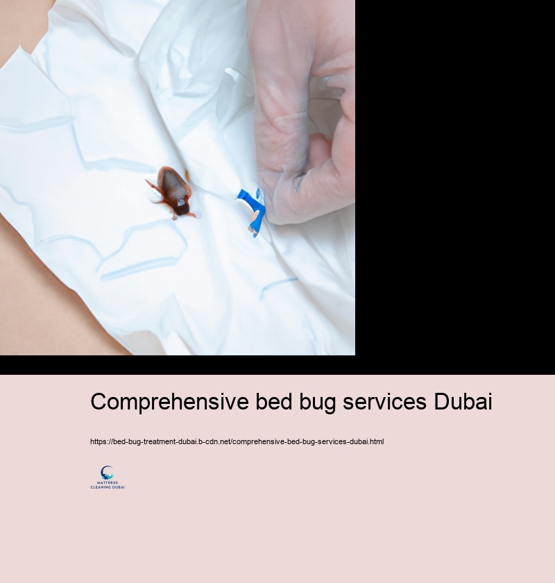 DO IT YOURSELF Bed Insect Control: Trusted Strategies and Threats