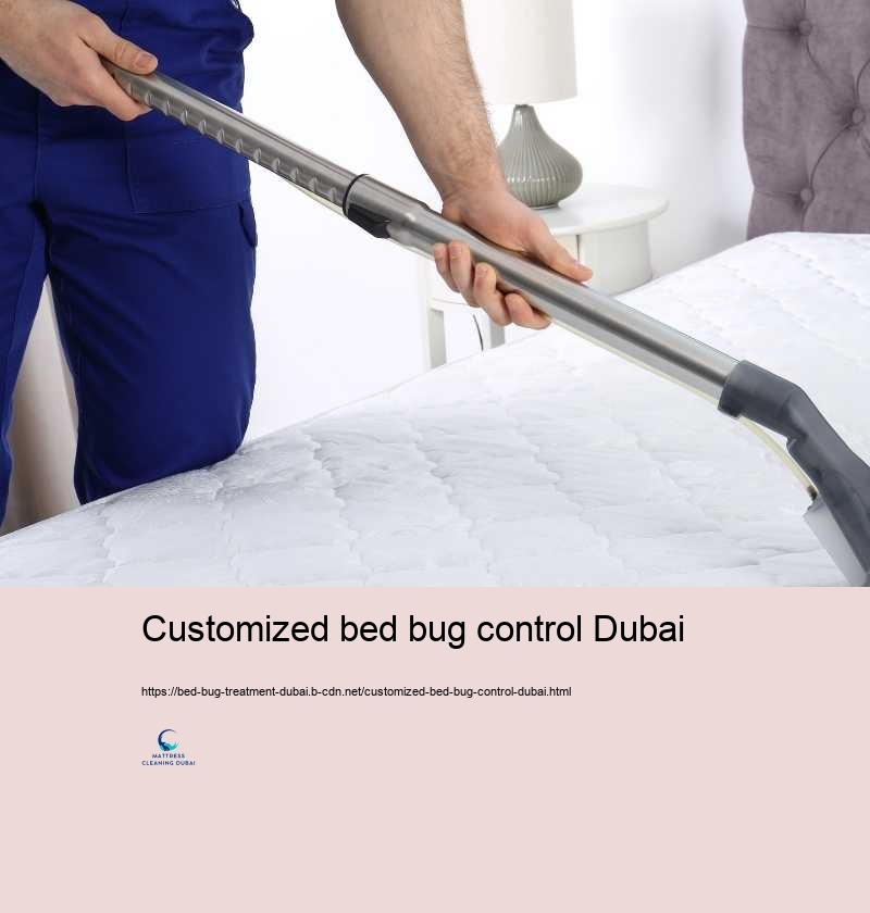 Customized bed bug control Dubai