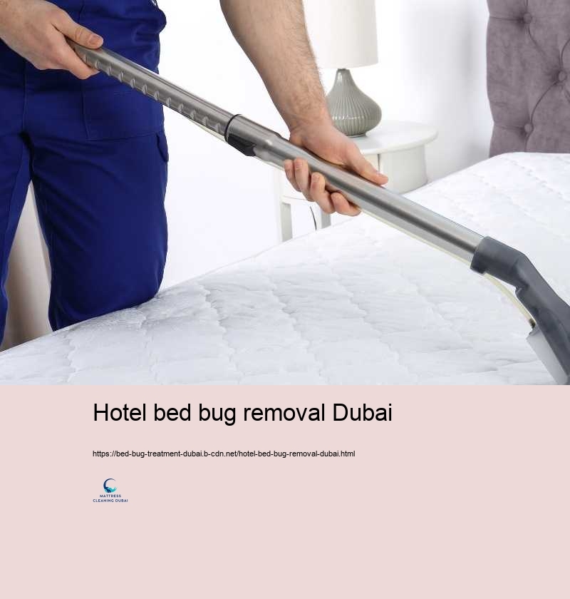 Hotel bed bug removal Dubai