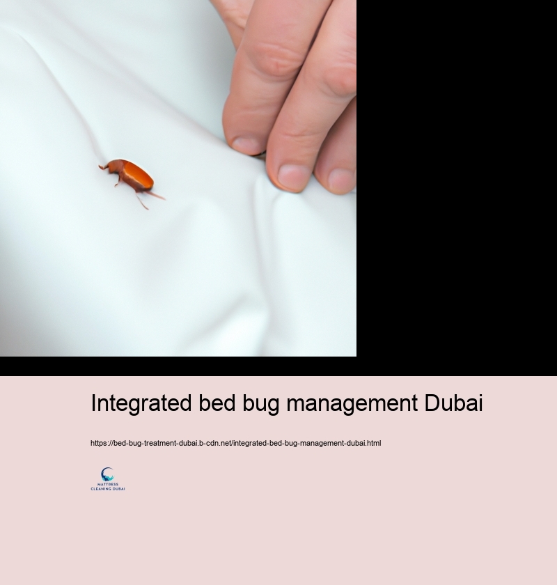 Do It Yourself Bed Pest Control: Effective Techniques and Threats