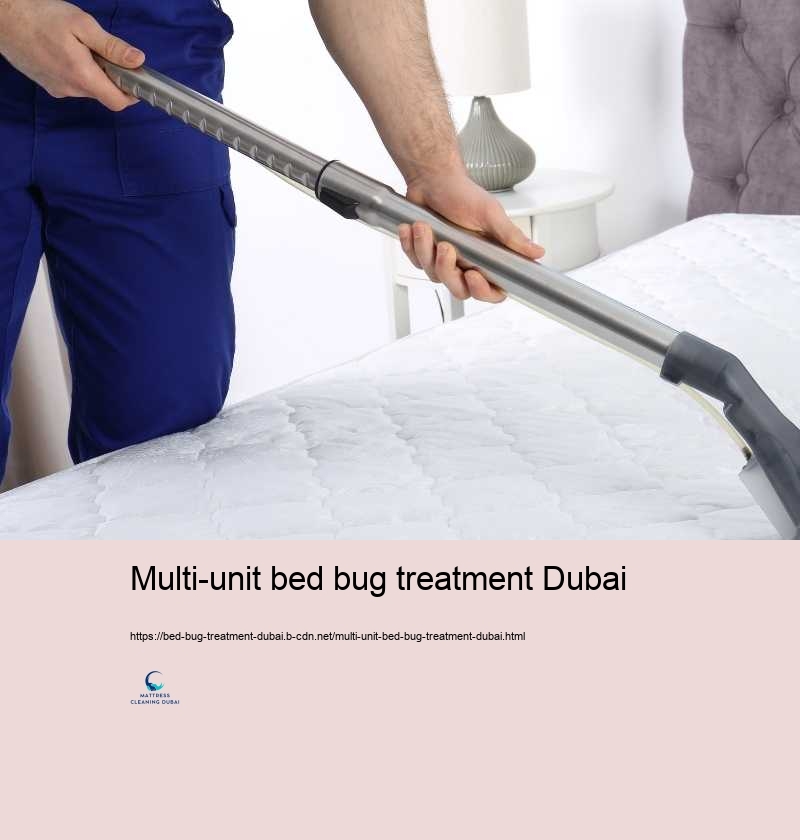 Multi-unit bed bug treatment Dubai