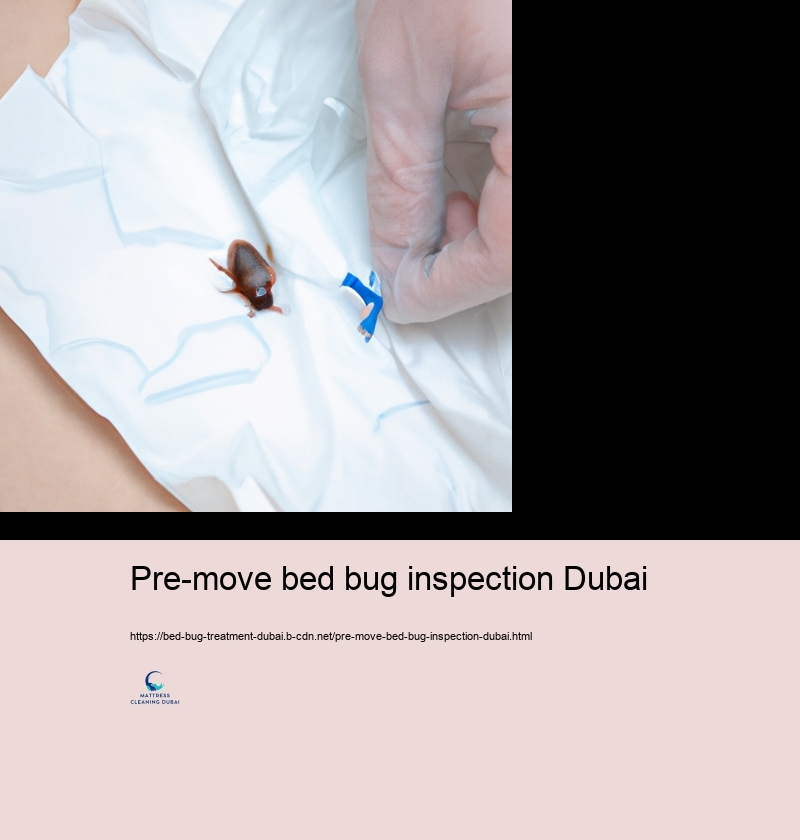 Preventive Measures to Secure against Bed Bug Invasions