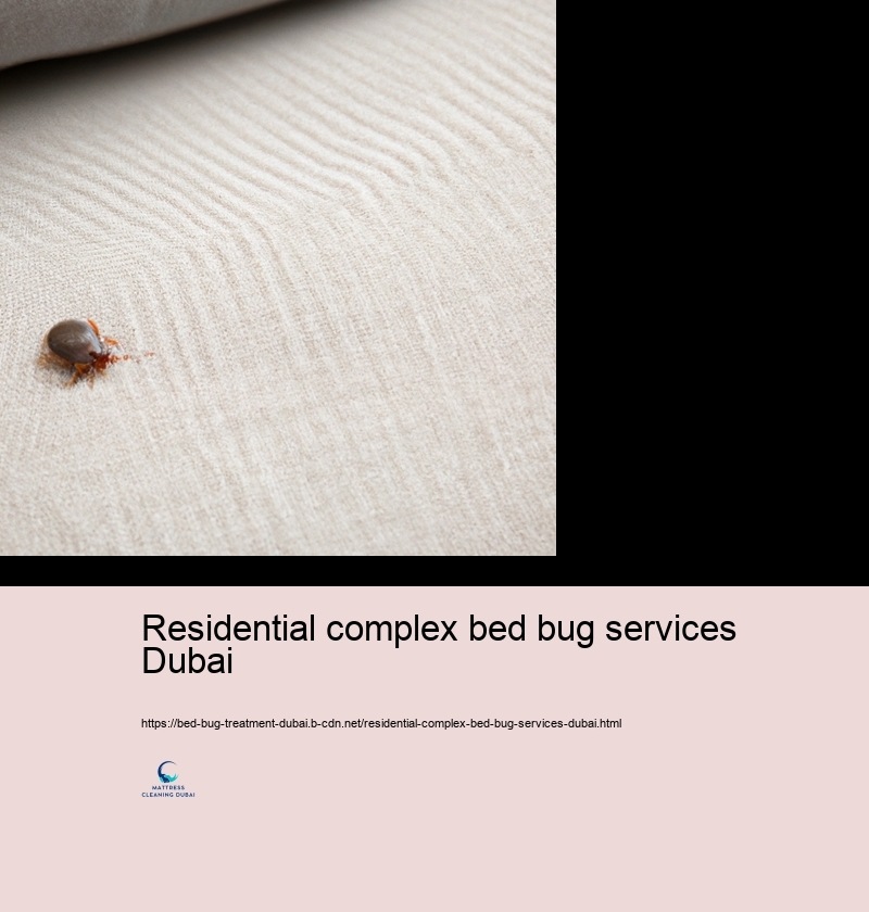 The Feature of Professional Insect Control Service provider in Bed Bug Management